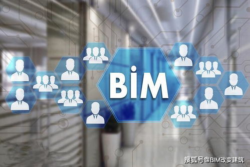 BIM造價(jià)咨詢(xún)服務(wù)的應(yīng)用與信息技術(shù)咨詢(xún)的深度融合